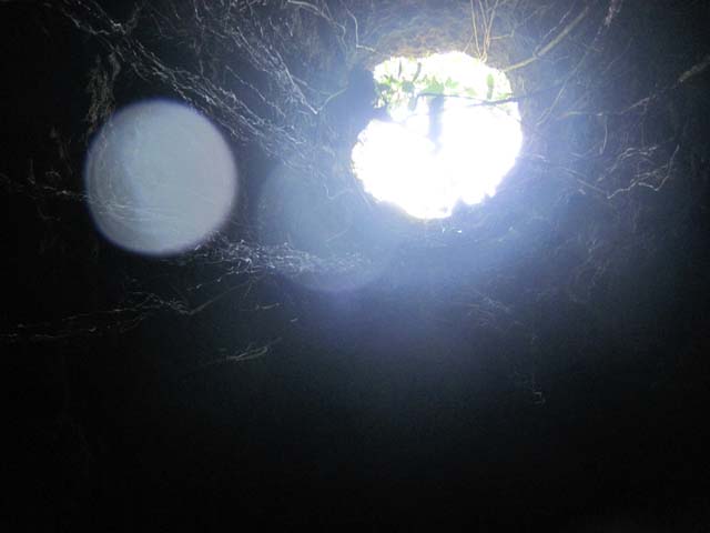 Мексика: подземные воды юкатана (ноябрь 2009)