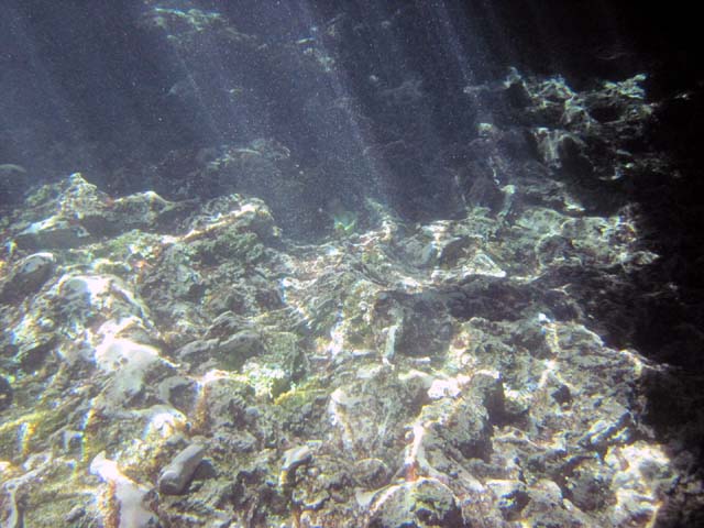 Мексика: подземные воды юкатана (ноябрь 2009)