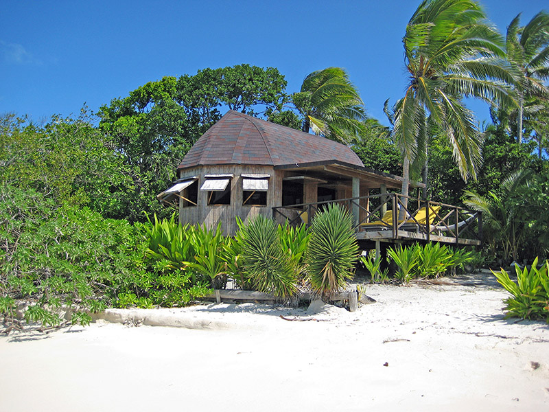 Небюджетная Океания: акулы, киты и ... большие кошки