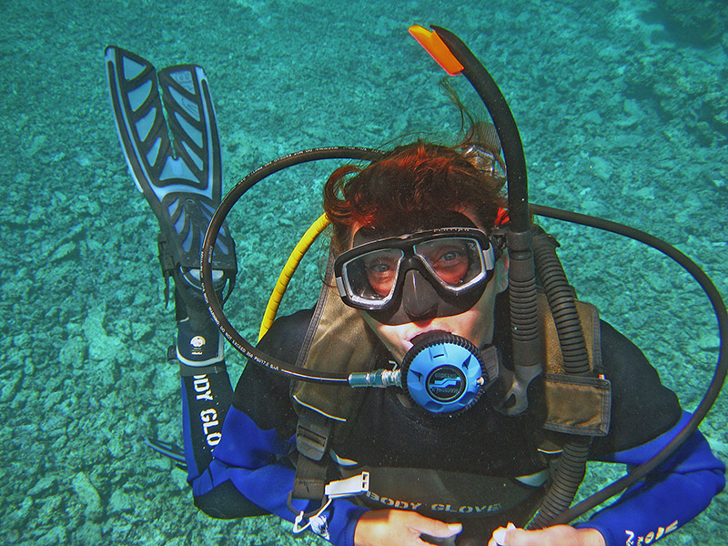 Небюджетная Океания: акулы, киты и ... большие кошки