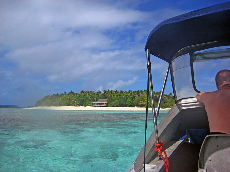 Небюджетная Океания: акулы, киты и ... большие кошки