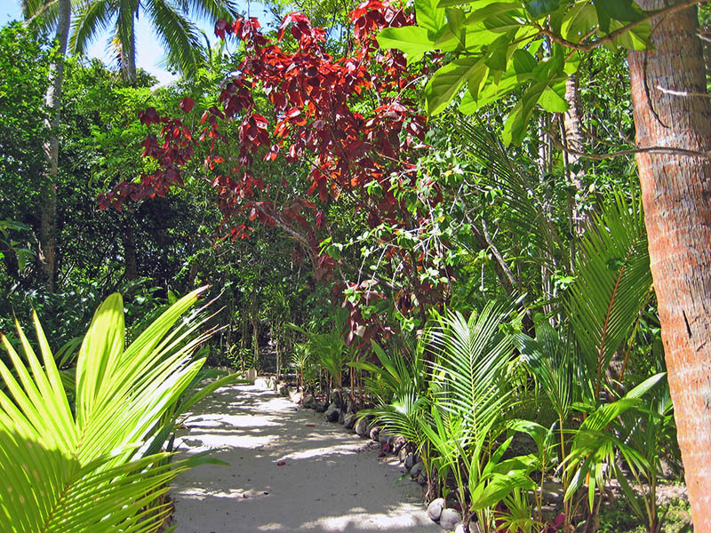 Небюджетная Океания: акулы, киты и ... большие кошки