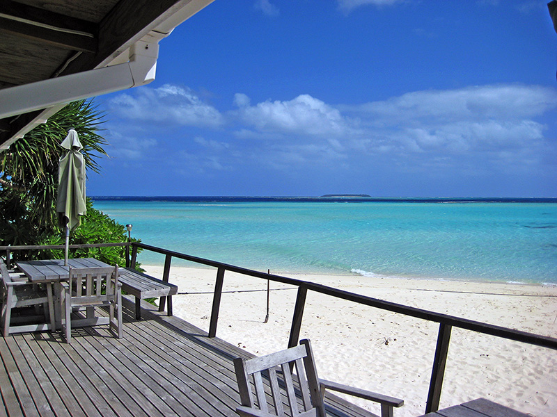 Небюджетная Океания: акулы, киты и ... большие кошки