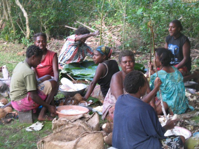 Фиджи-Самоа-Вануату. Август 2008