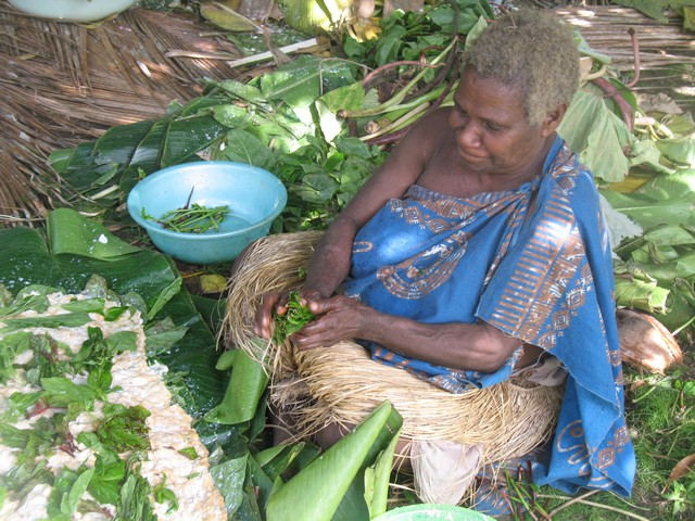 Фиджи-Самоа-Вануату. Август 2008