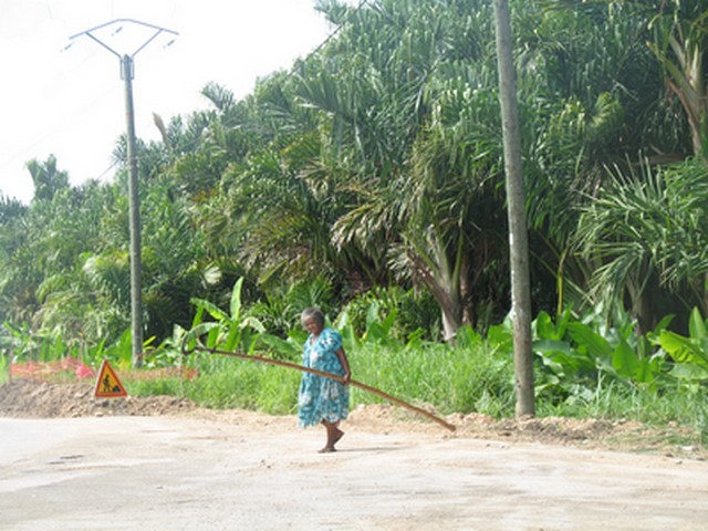 Фиджи-Самоа-Вануату. Август 2008
