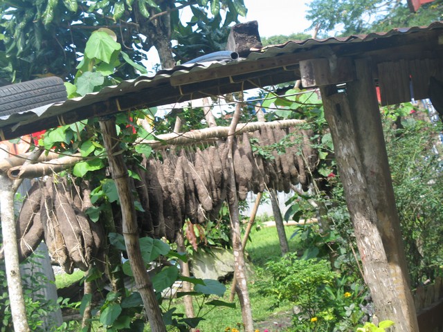 Фиджи-Самоа-Вануату. Август 2008