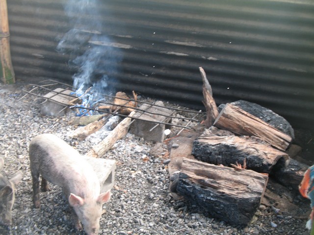 Фиджи-Самоа-Вануату. Август 2008