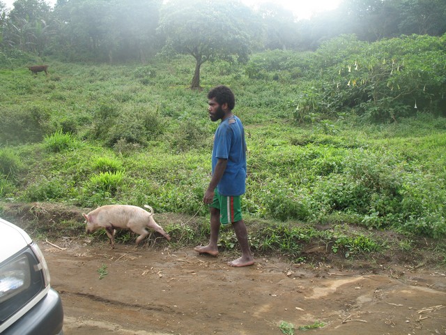 Фиджи-Самоа-Вануату. Август 2008