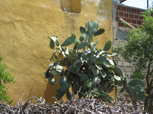 Неорганизованые Автодикари - практика