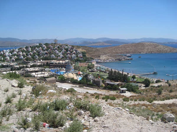 Неорганизованые Автодикари - практика