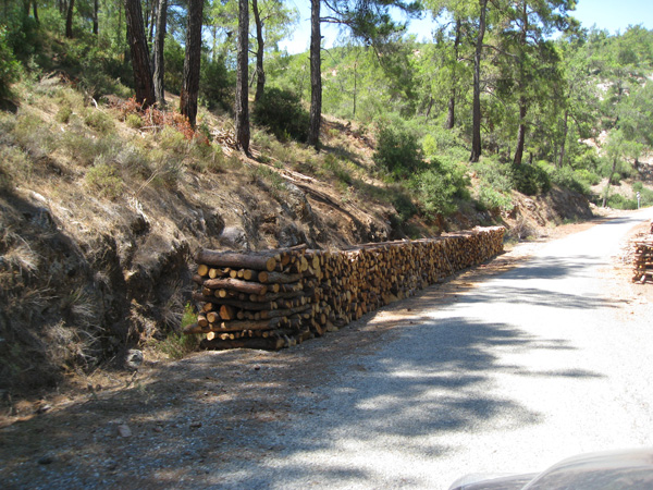 Неорганизованые Автодикари - практика