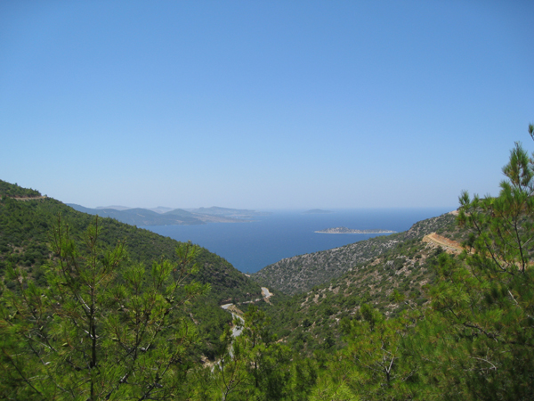 Неорганизованые Автодикари - практика