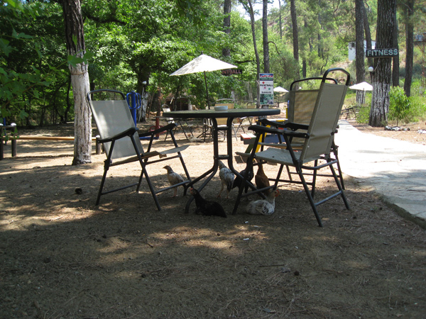 Неорганизованые Автодикари - практика