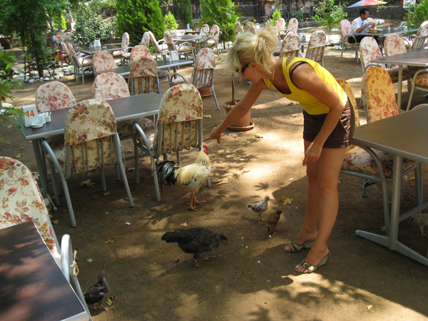 Неорганизованые Автодикари - практика