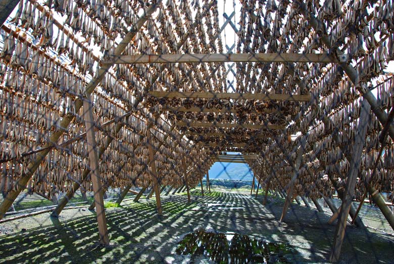 Норвегия. Лето 2009 года. На прокатном авто.