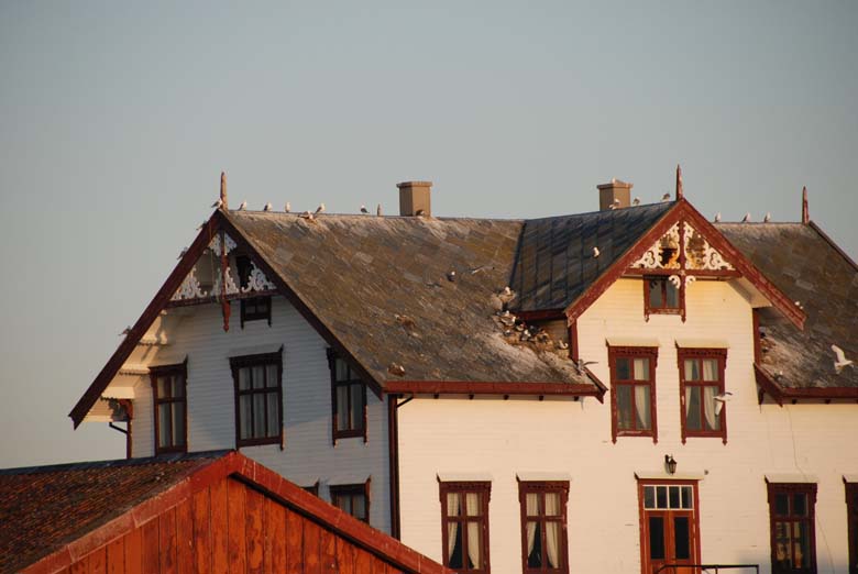 Норвегия. Лето 2009 года. На прокатном авто.