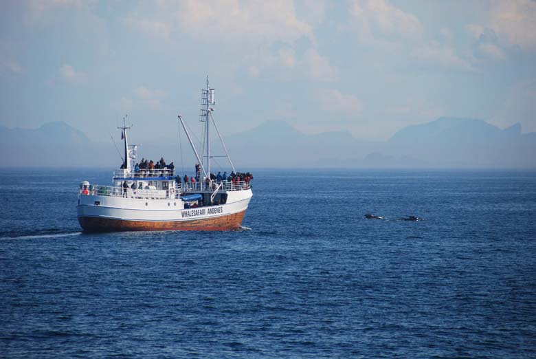 Норвегия. Лето 2009 года. На прокатном авто.