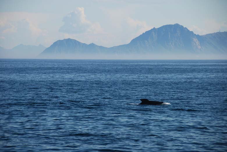 Норвегия. Лето 2009 года. На прокатном авто.