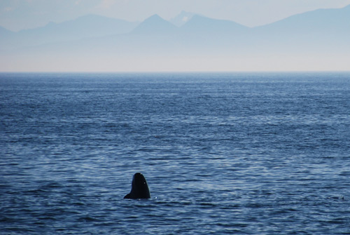 Норвегия. Лето 2009 года. На прокатном авто.