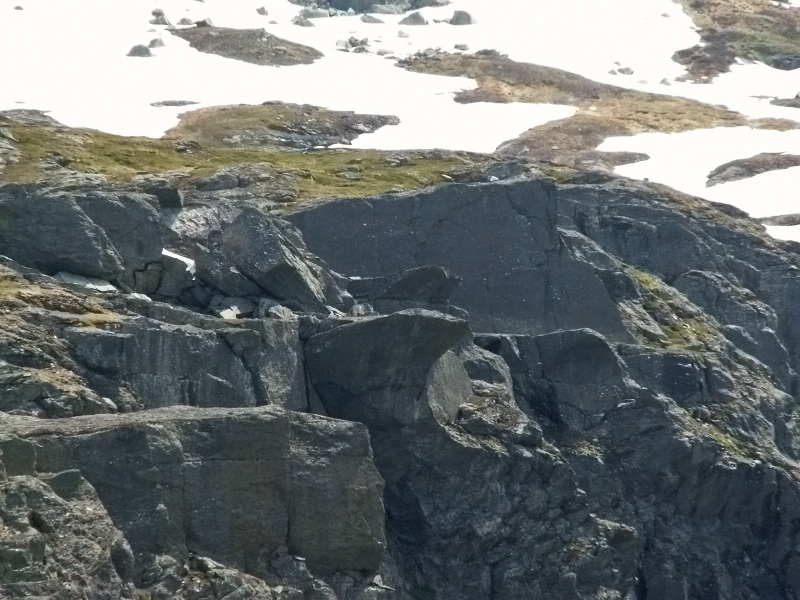 Норвегия. Июль 2008. На прокатном авто.