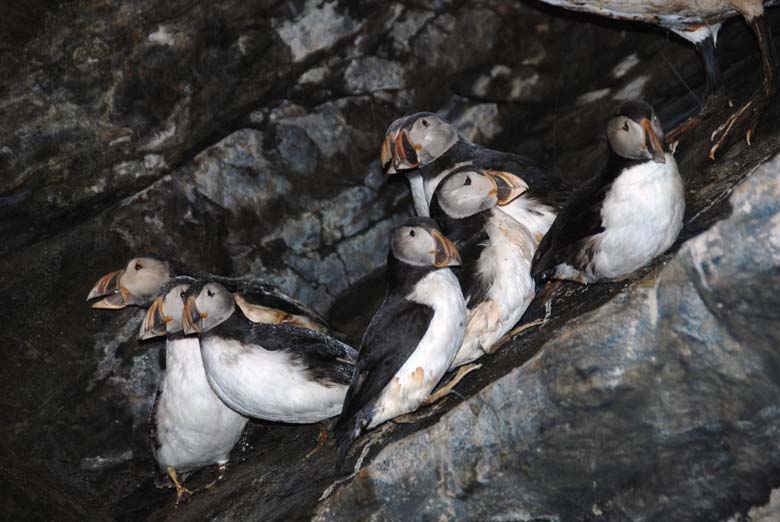 Норвегия. Лето 2009 года. На прокатном авто.