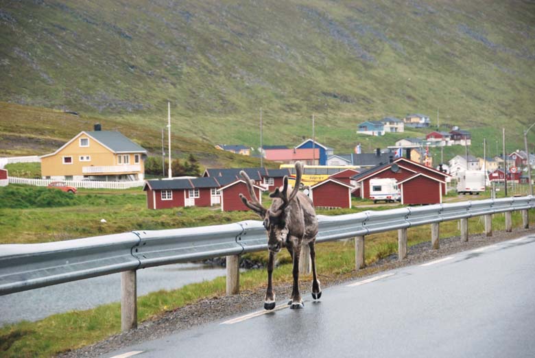 Норвегия. Лето 2009 года. На прокатном авто.