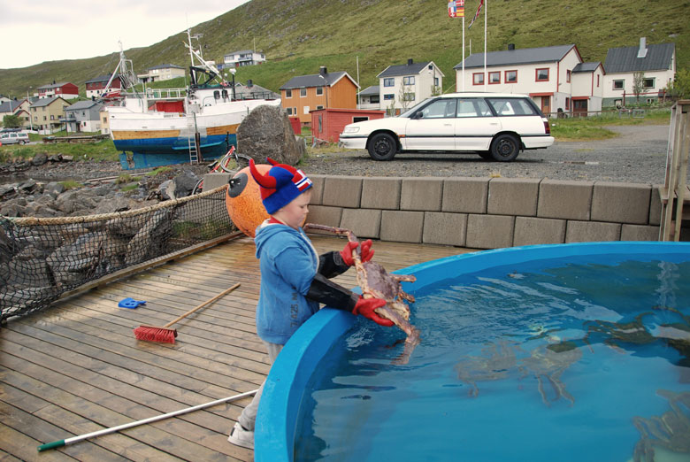 Норвегия. Лето 2009 года. На прокатном авто.