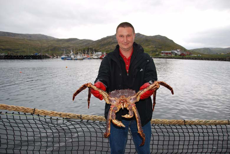 Норвегия. Лето 2009 года. На прокатном авто.