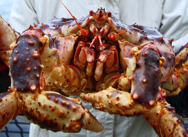 Норвегия. Лето 2009 года. На прокатном авто.