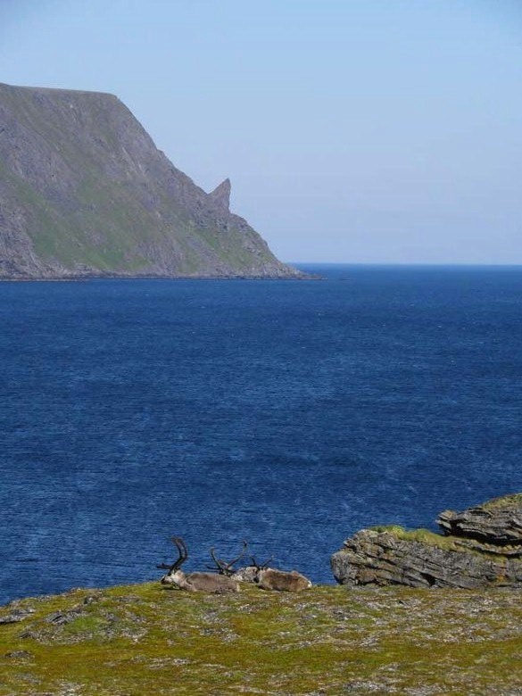 Норвегия. Лето 2009 года. На прокатном авто.