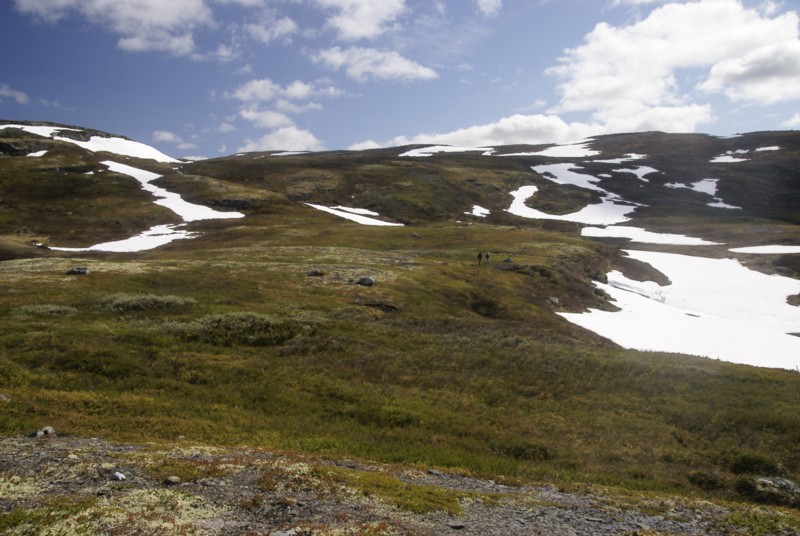 Норвегия, июнь, 2009: горы, фиорды, лед и лес