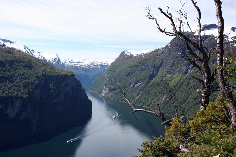 Canon 40D первые шаги, на критику-трафик