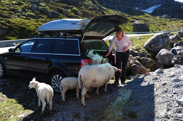 Норвегия(Kjerag,Preikstolen,Trolltunga,Hardangervidda)законч