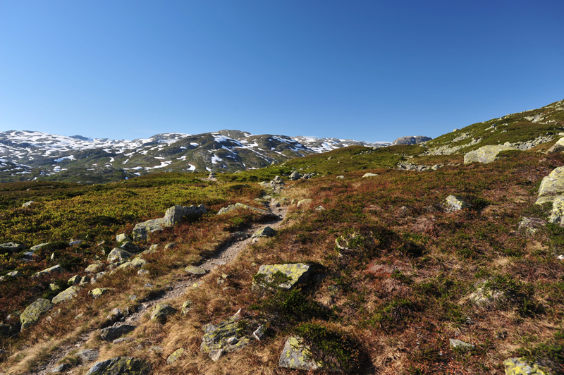 Норвегия(Kjerag,Preikstolen,Trolltunga,Hardangervidda)законч