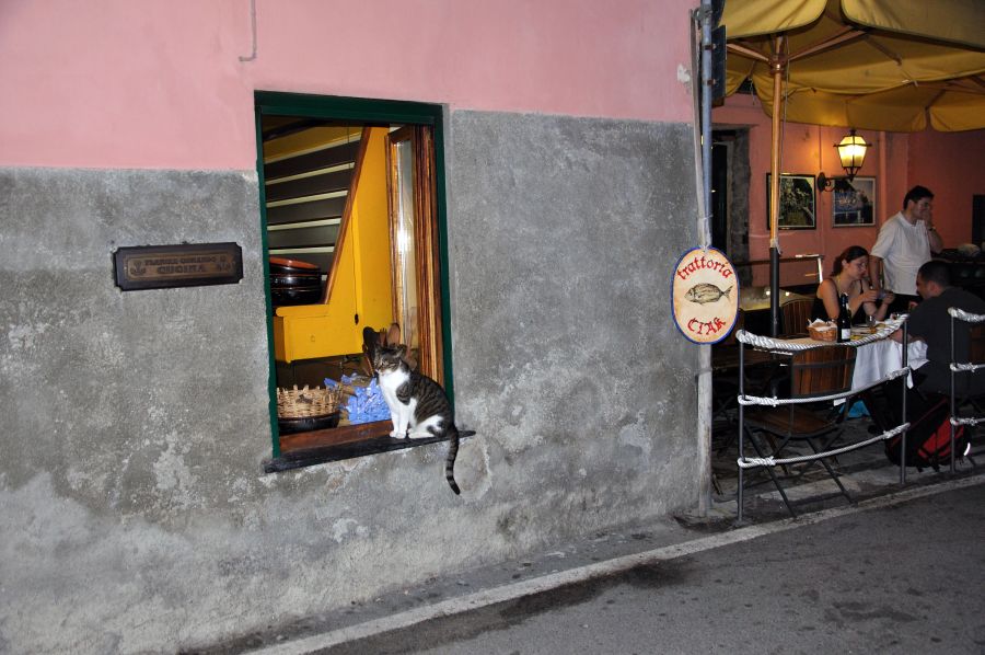 По Европе с малышом на арендованном авто. Закончен.