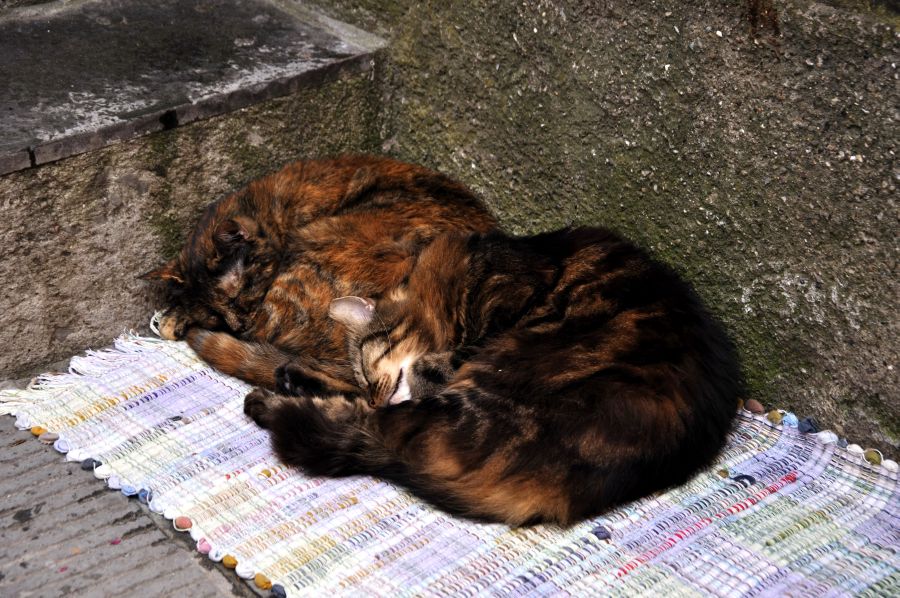 По Европе с малышом на арендованном авто. Закончен.