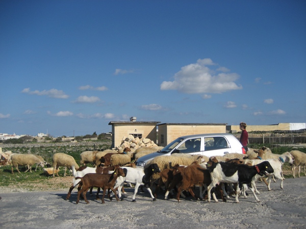 Мальта (заметки на полях путеводителя)