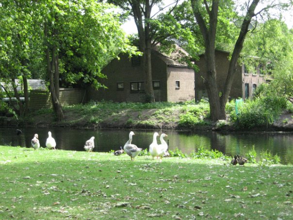 3 Друга! Берлин-Нидерланды-Брюссель-Брюгге-Париж-16 дней!!! 3 Друга! Берлин-Нидерланды-Брюссель-Брюгге-Париж-16 дней!!!