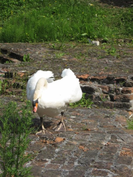 3 Друга! Берлин-Нидерланды-Брюссель-Брюгге-Париж-16 дней!!! 3 Друга! Берлин-Нидерланды-Брюссель-Брюгге-Париж-16 дней!!!