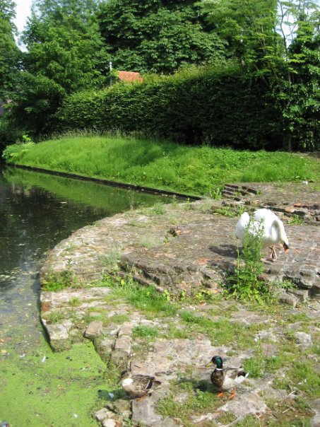 3 Друга! Берлин-Нидерланды-Брюссель-Брюгге-Париж-16 дней!!! 3 Друга! Берлин-Нидерланды-Брюссель-Брюгге-Париж-16 дней!!!