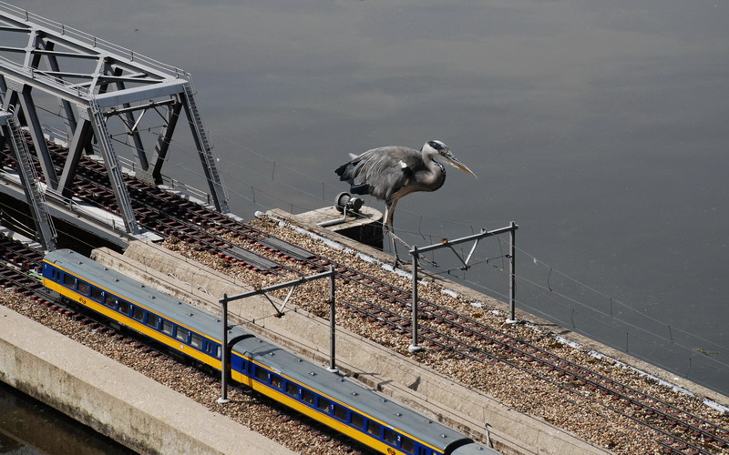 Автопробег СПб-страны Бенилюкса 2008