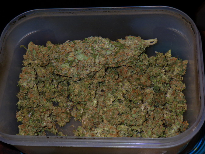 Голландия-Октоберфест 2008-Франция-Бельгия. Траффик.