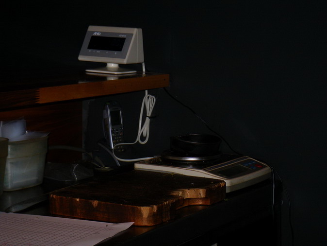 Голландия-Октоберфест 2008-Франция-Бельгия. Траффик.