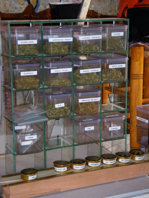 Голландия-Октоберфест 2008-Франция-Бельгия. Траффик.