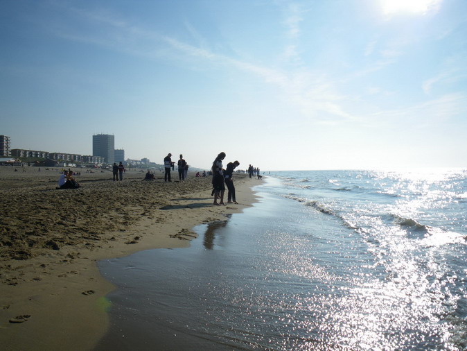 Голландия-Октоберфест 2008-Франция-Бельгия. Траффик.