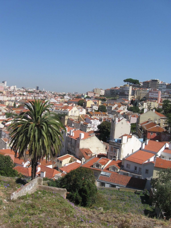 Португалия август 2009: Лиссабон-Порто-Мадейра