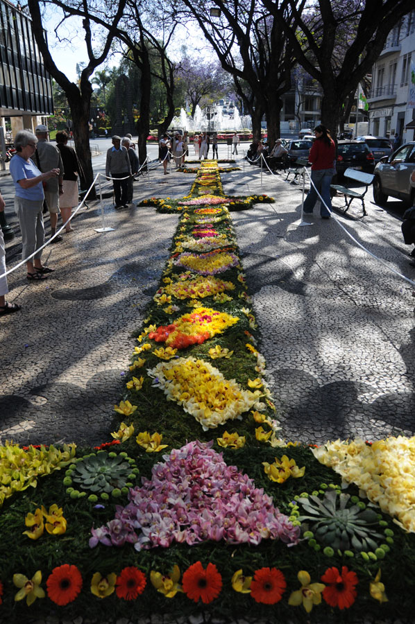 Португалия. Фестиваль цветов на Мадейре-2009. Фото.