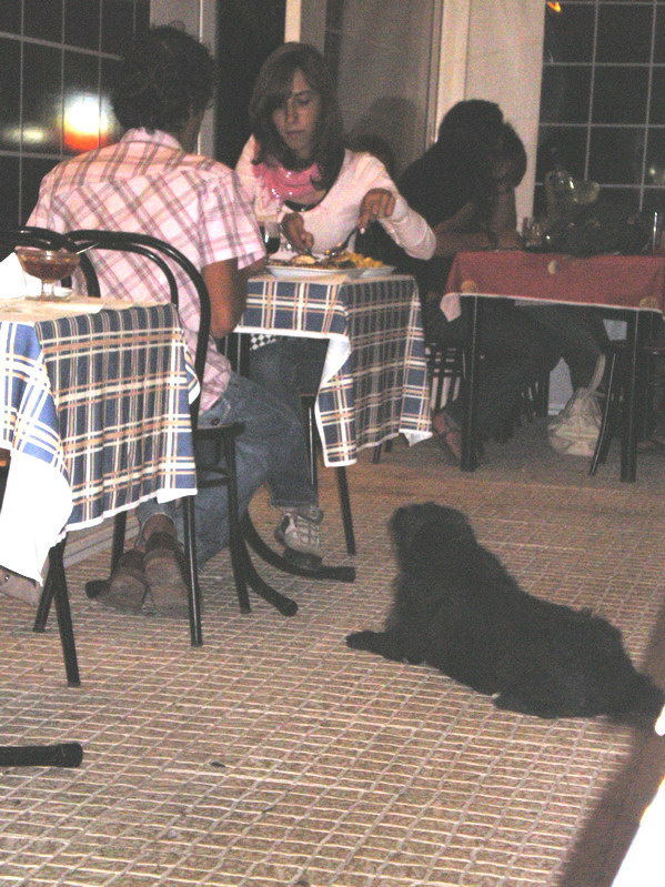 Португалия. Август 2008