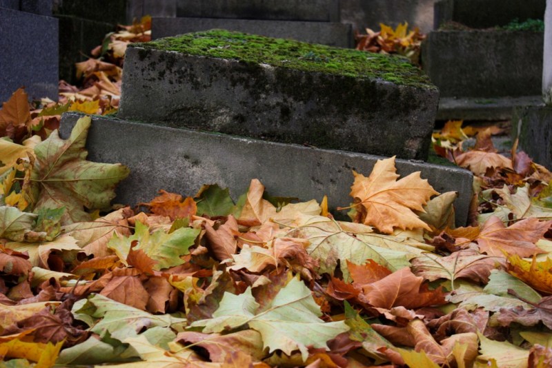 Небо над Берлином..., Регенсбургом, Мюнхеном и Парижем